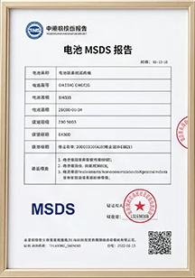 Battery MSDS